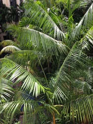 East Meadows (D16), Condominium #194518202